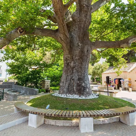 빌라 Platanus With Private Pool & Sea View 믈리니