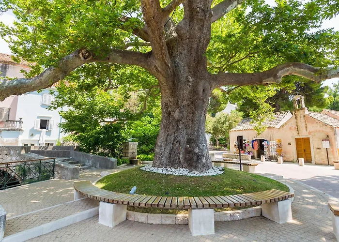 Villa Platanus With Private Pool & Sea View Mlini